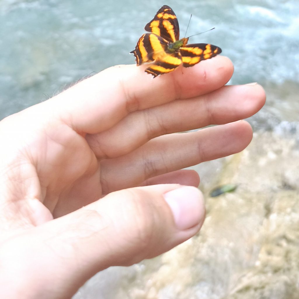 IMG_20200910_125553~2